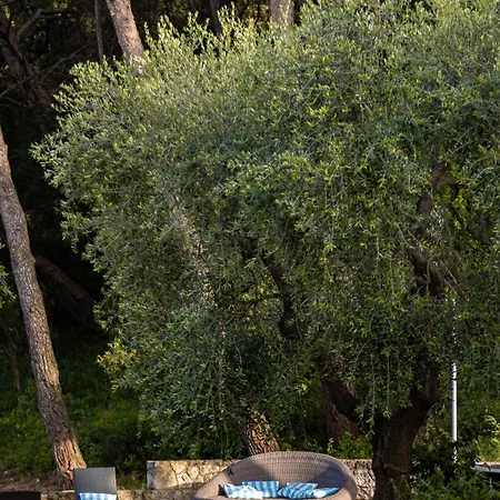 Hotel Ah Premium Baia Dei Faraglioni 4*